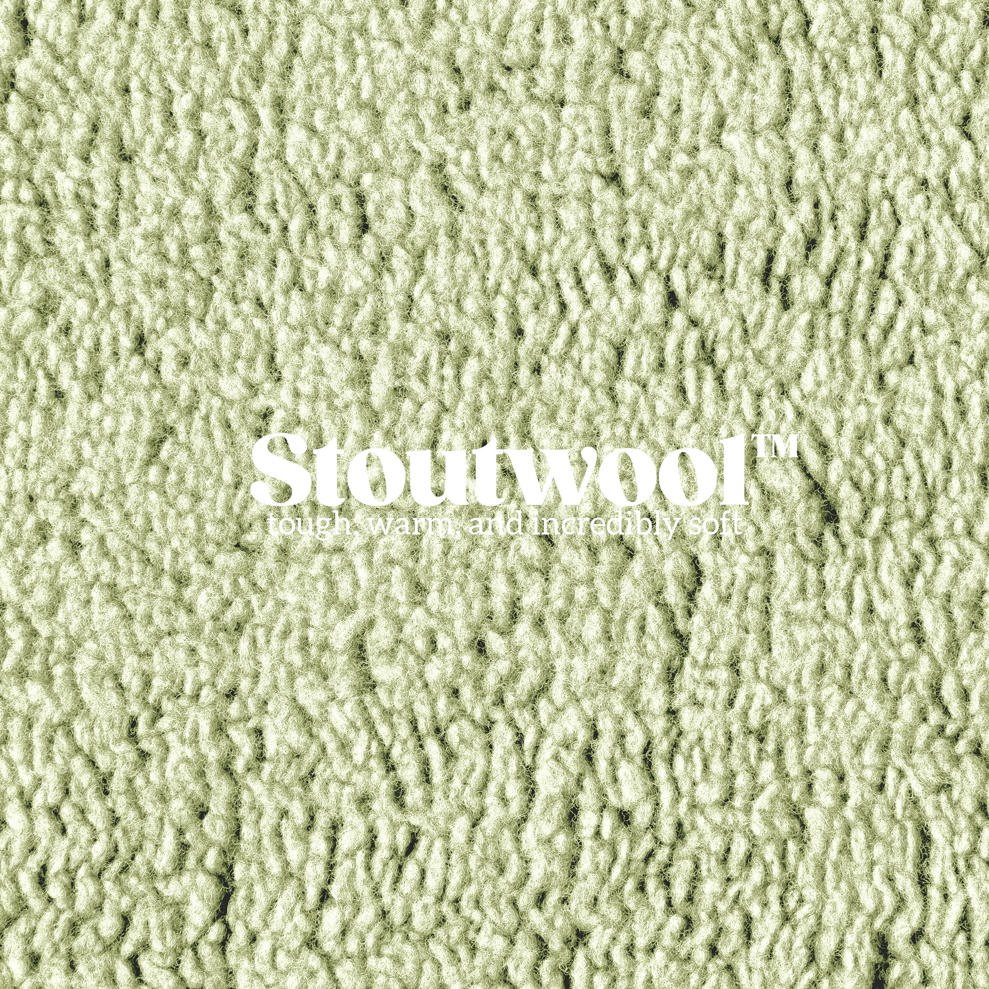 Stoutwool™ Chew Proof Dog Crate Mat Gleam