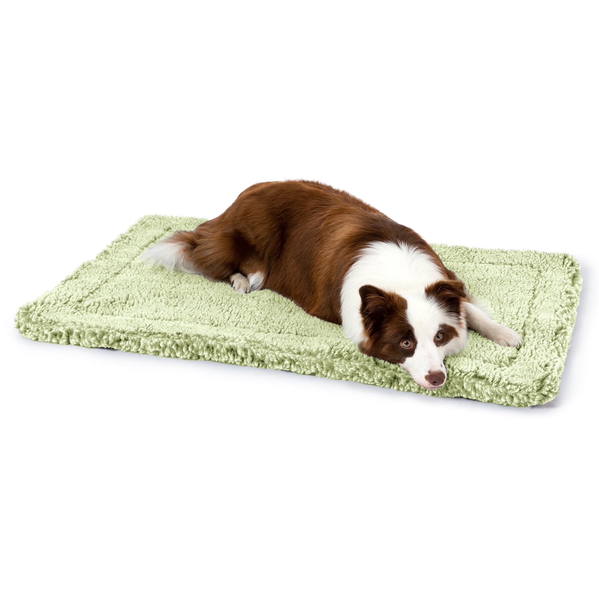 Stoutwool™ Chew Proof Dog Crate Mat Gleam