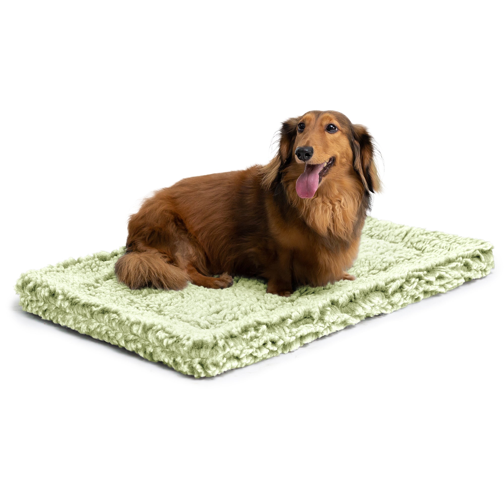 Stoutwool™ Chew Proof Dog Crate Mat Gleam