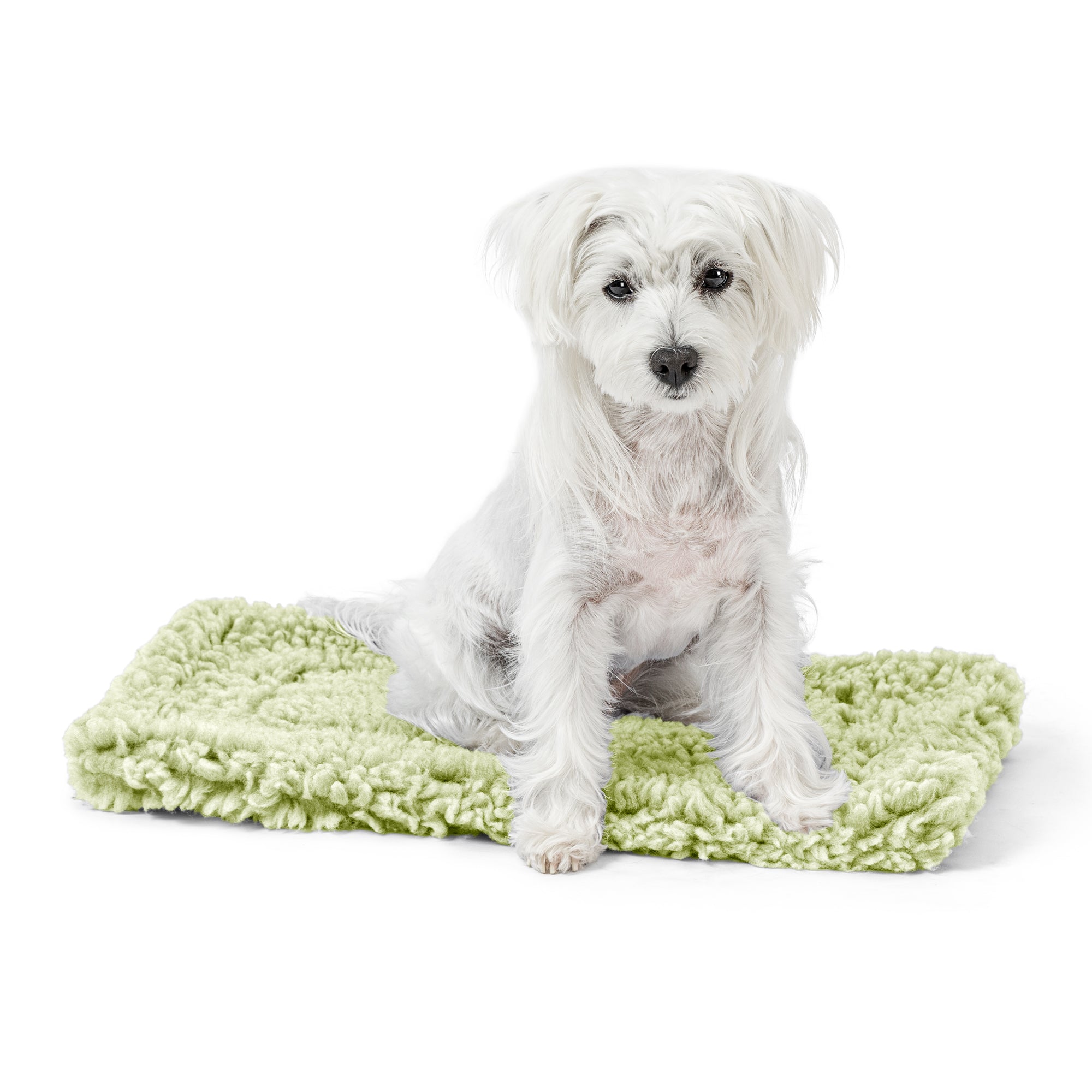 Stoutwool™ Chew Proof Dog Crate Mat Gleam