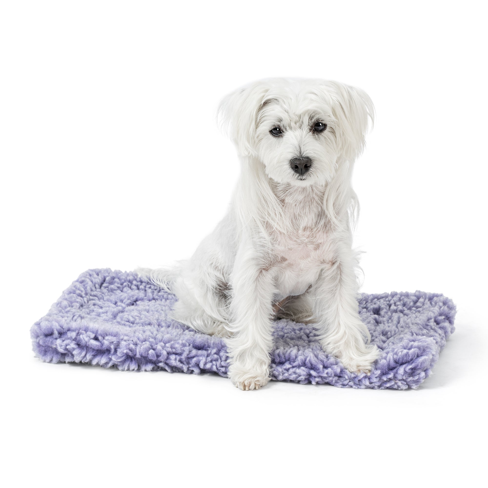 Stoutwool™ Chew Proof Dog Crate Mat Jacaranda