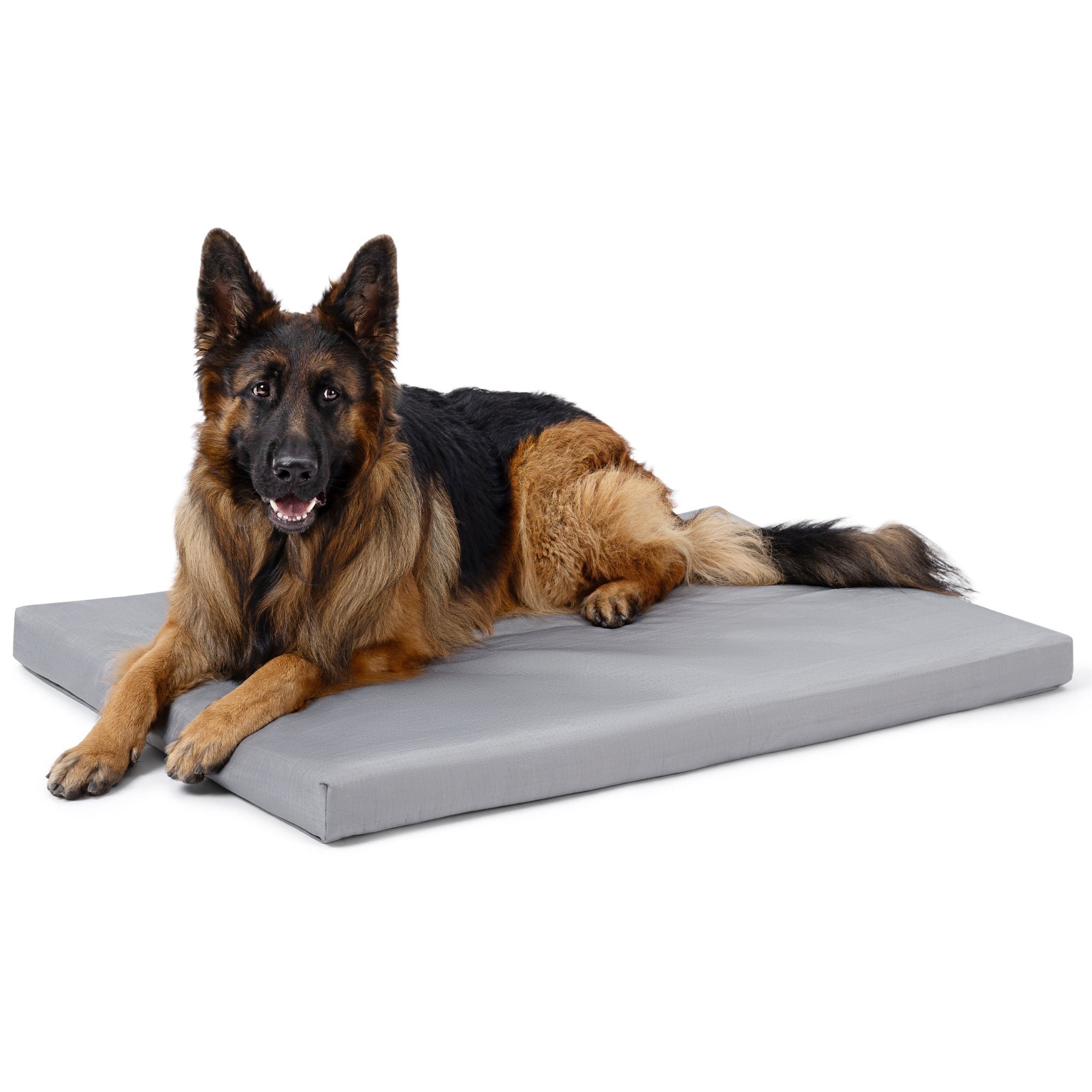 Cybarmour™ Orthopedic Chew Proof Dog Bed
