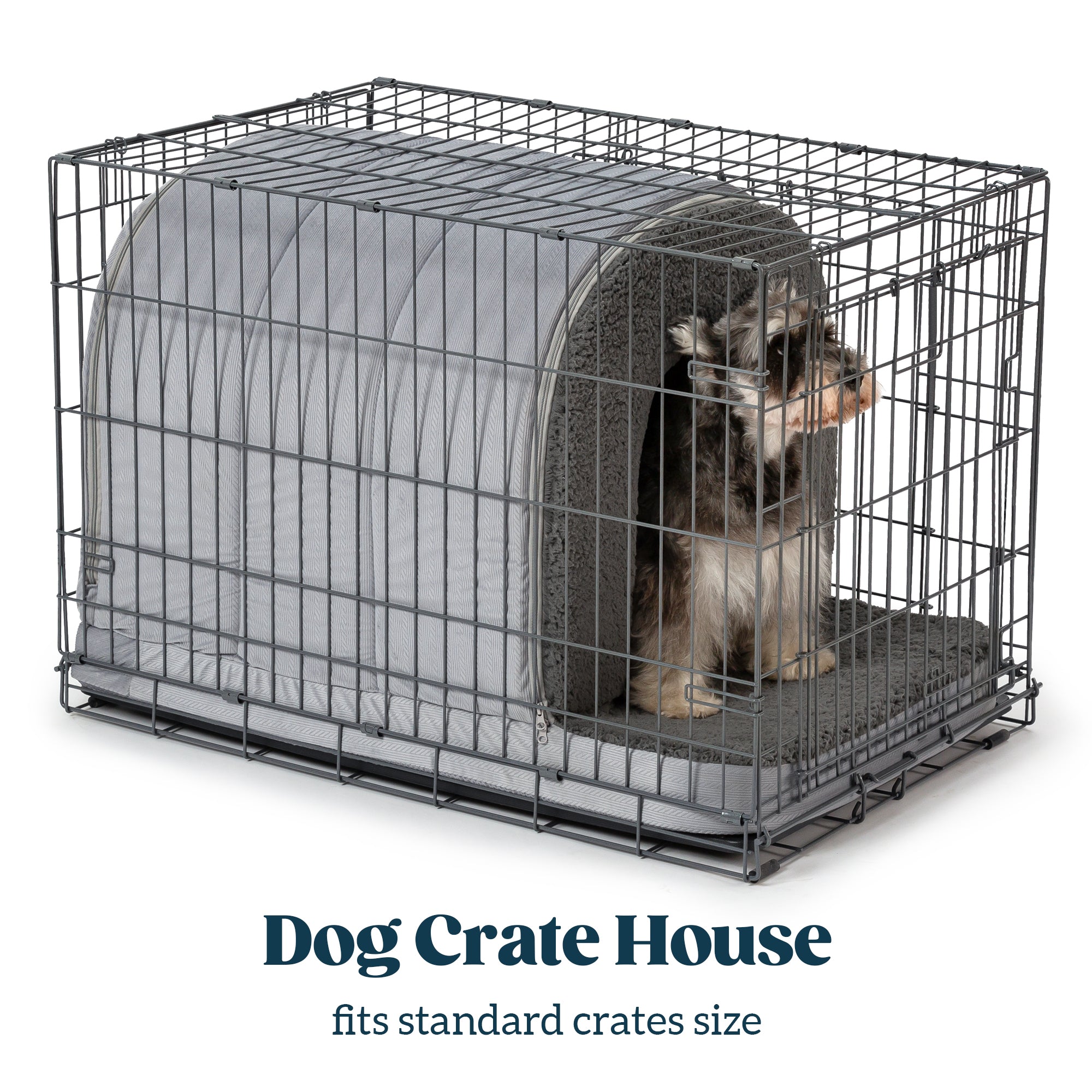 Orthopedic Dog House