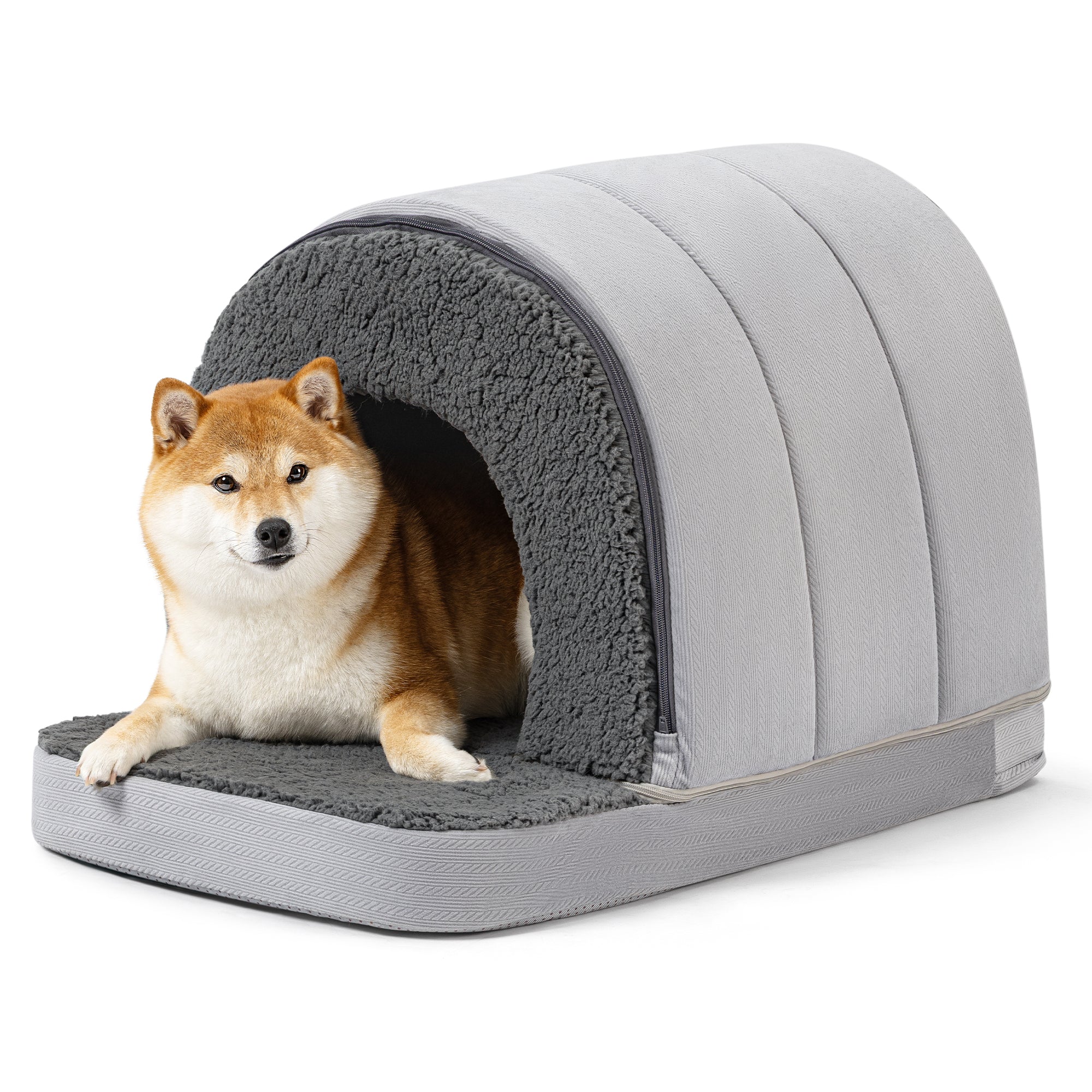 Orthopedic Dog House