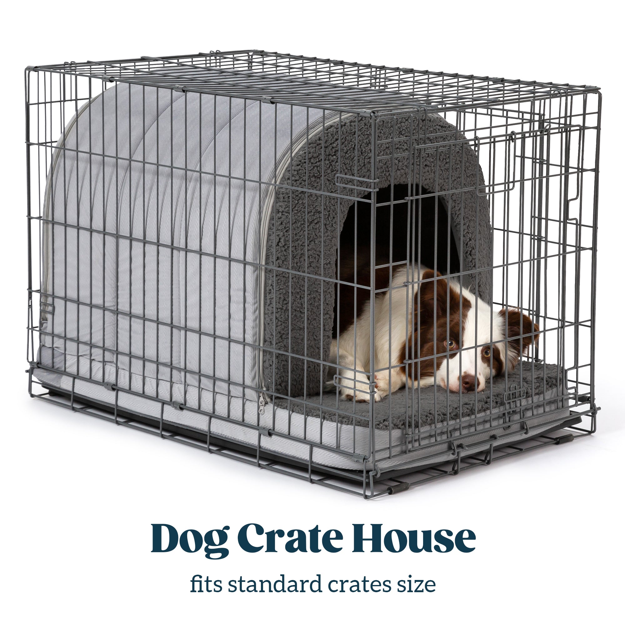 Orthopedic Dog House