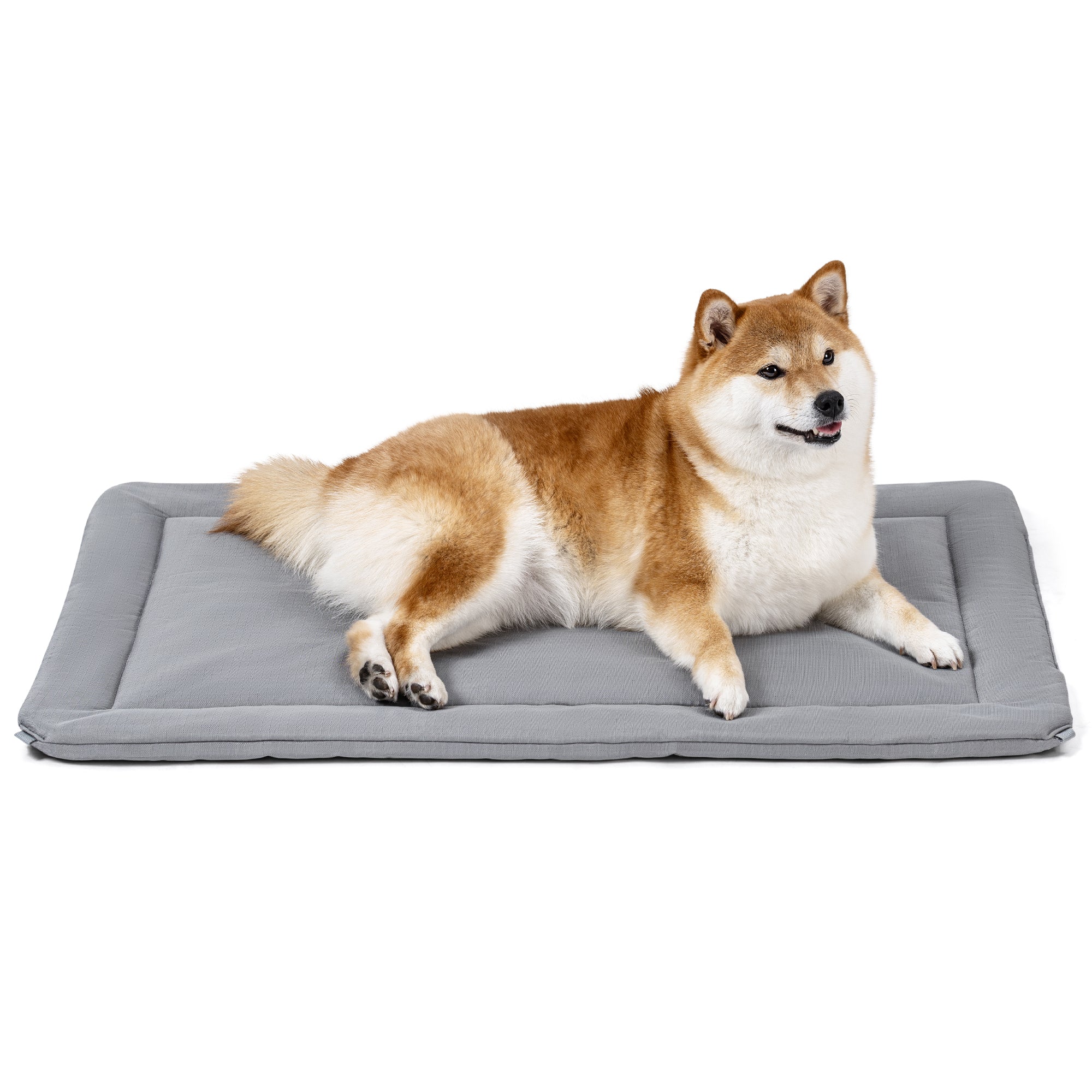 Dog Crate Mat