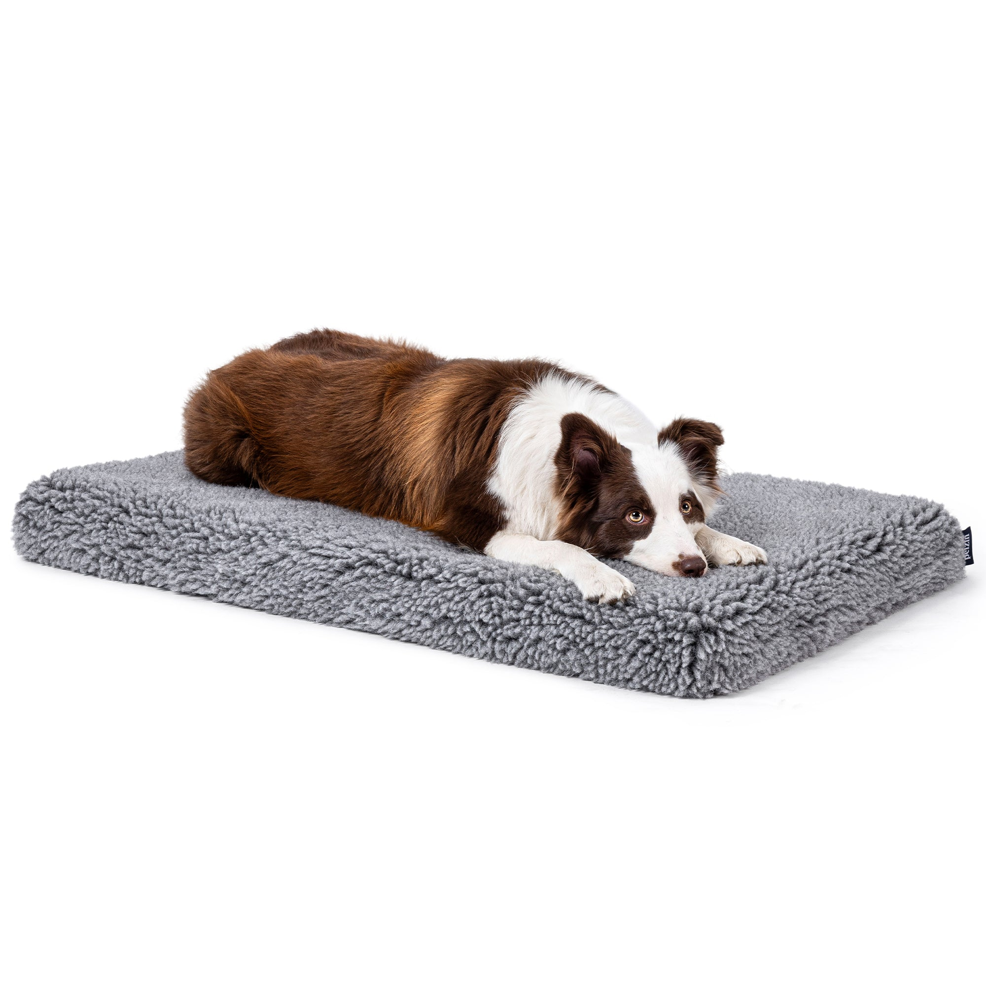 Stoutwool Dog Bed