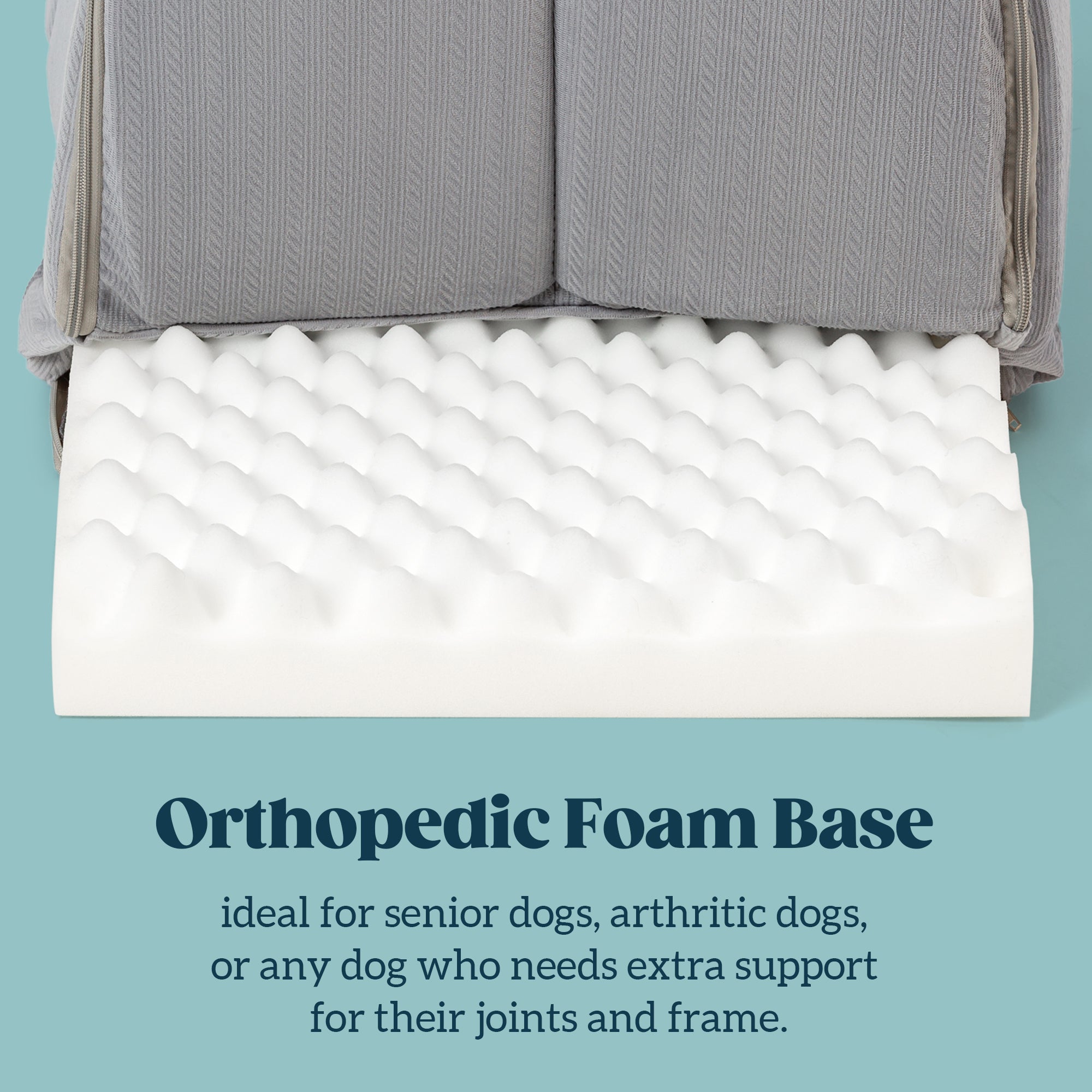 Orthopedic Dog House