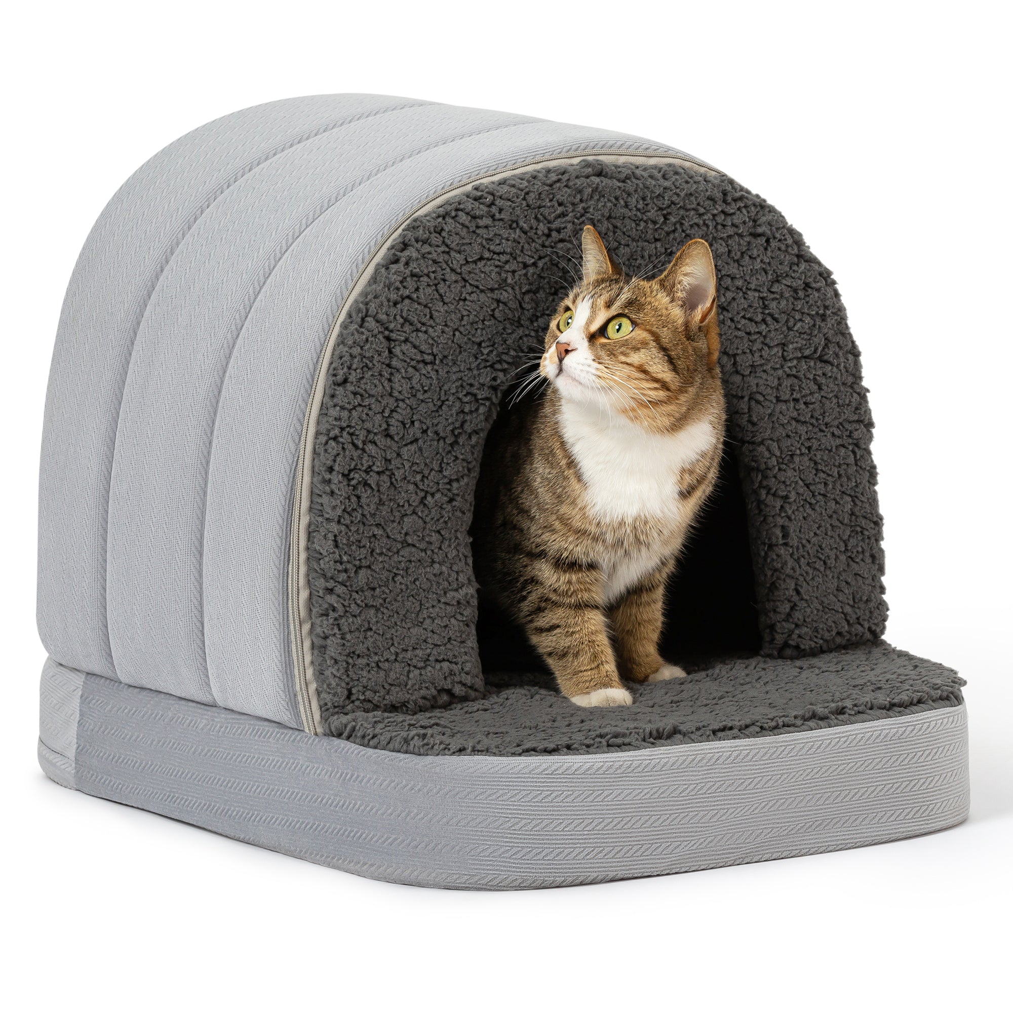 Orthopedic Dog House
