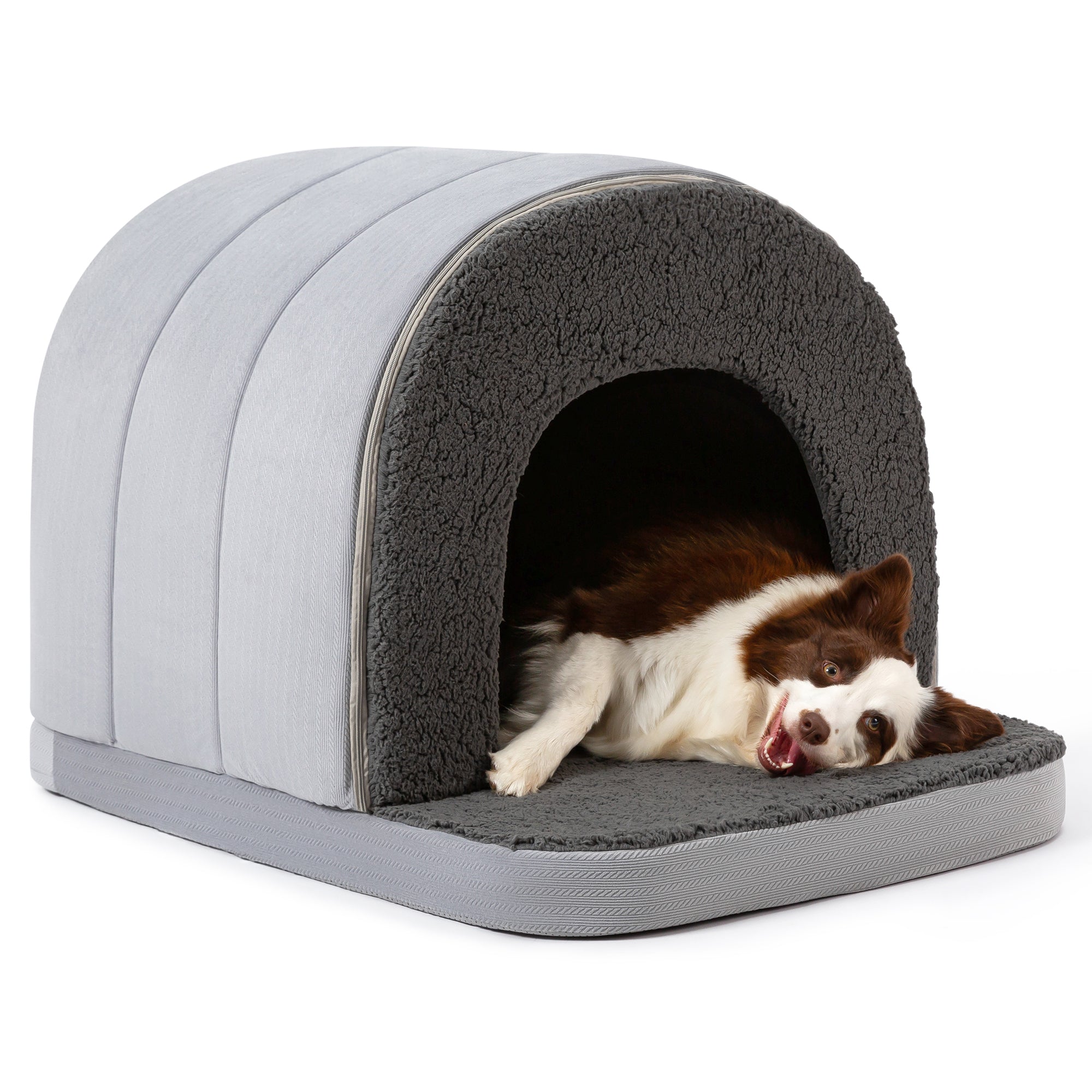 Orthopedic Dog House