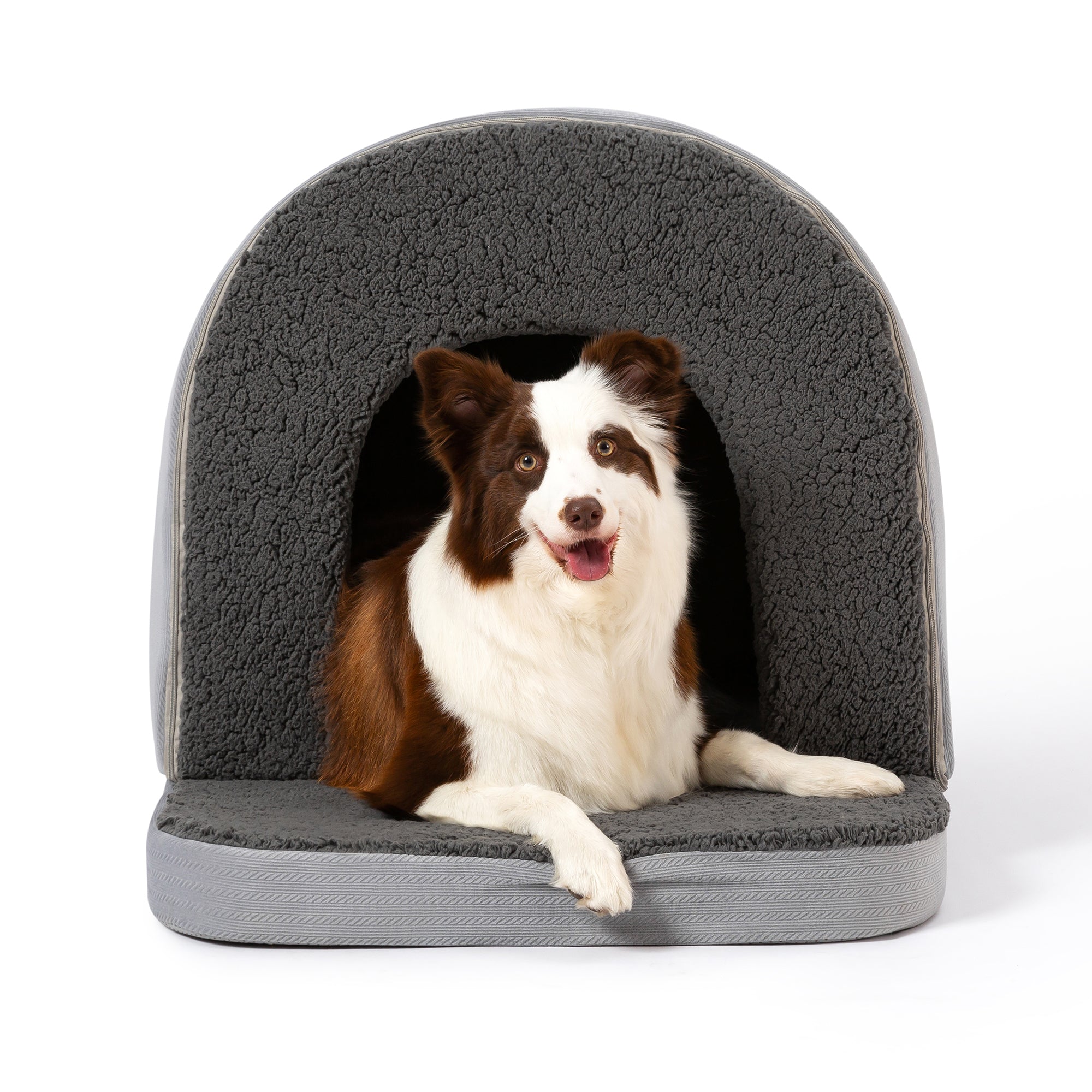Orthopedic Dog House